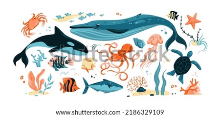 Vector collection of ocean creatures. Hand drawn fish, marine mammals, and plants isolated on white background.
