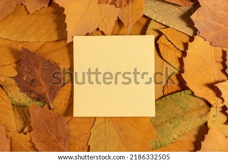 Autumn dry yellow leaves background. With copy space.