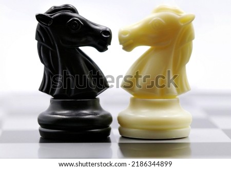 Chess horses, one white and one black, facing each other