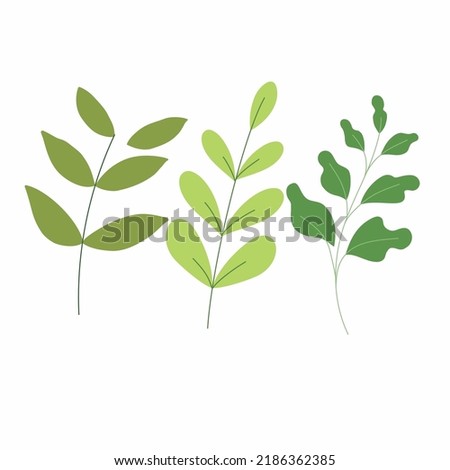 Fresh green leaves vector for your amazing artwork