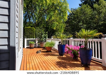 Cat resting on outdoor wood cedar deck during summer time with blooming garden in pots Royalty-Free Stock Photo #2186408895