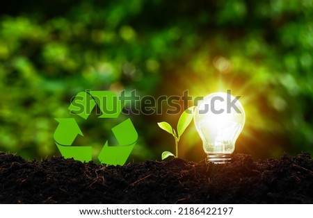 Futuristic sustainable development concept with light bulbs with seedlings and recycling labels in garden green nature background.                       