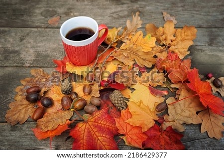 tea cup, autumnal leaves, acorns and cones on rustic wooden table. Autumn background. fall season concept. symbol of Mabon, Thanksgiving holiday. top view Royalty-Free Stock Photo #2186429377