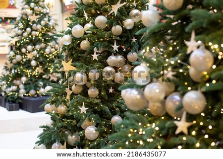 Christmas decoration several Christmas trees decorated with golden balls in a row. Sparkling winter background for design