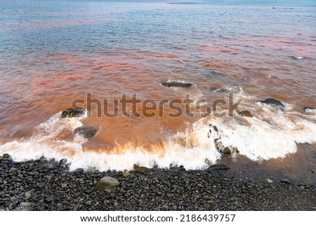 Red tide on the coast of Ito City, Shizuoka Prefecture Royalty-Free Stock Photo #2186439757