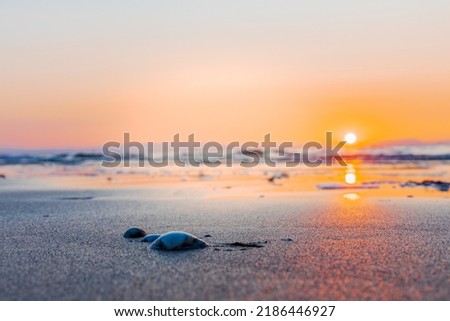 Sunrise in Bibione captured on a lighthouse in Italy. Bibione is a seaside resort in Italy in the Veneto region, in the province of Venice. Three shells on the sand by the sea.
