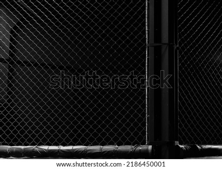 Image of an octagon. Concept of boxing, sport, muay thai, martial arts. Royalty-Free Stock Photo #2186450001