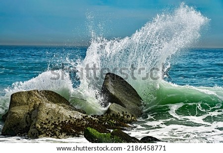 Splashes of waves break on the rocks. Sea surf on the beach. Power of water on sea surf. Splashes of sea waves Royalty-Free Stock Photo #2186458771