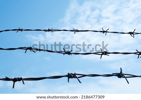 barbed wire against blue sky