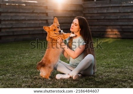Girl play with Corgi dog on the grass and having fun. Playful Welsh Corgi Pembroke. Lifestyle with domestic pet