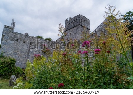 Killarney Muckross Abbey. Founded for the Observatine Franciscans about 1448.  one of the major ecclesiastical sites, found in the Kound in the Killarney National Park, County Kerry, Ireland. Royalty-Free Stock Photo #2186489919