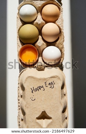 free range chicken eggs in a carton box with a 'happy eggs' hand writing.