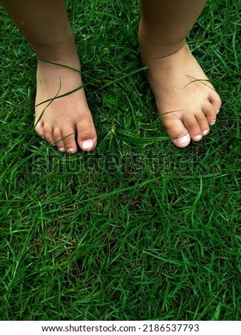 child's feet on the grass.  Barefoot on the grass is a good stimulation for child development.