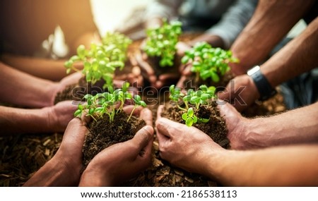 Teamwork and growth with plants in the hands of a group or team of eco people for agriculture and collaboration in a green business. Diverse people holding growing sprouts in a startup company Royalty-Free Stock Photo #2186538113