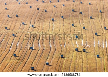 Bales on a field in the countryside