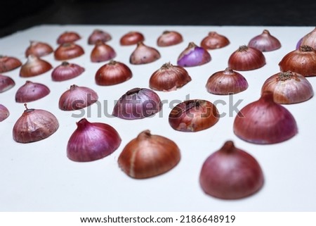 a texture background of onion stock for any use