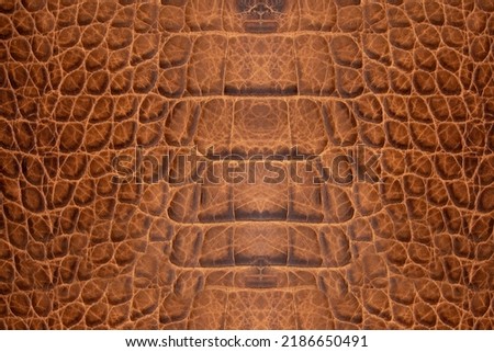 snake skin texture, genuine reptile leather, brown leather