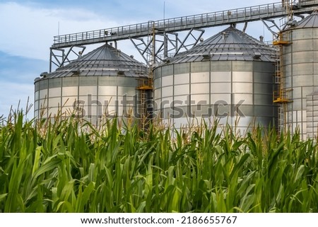 agro silos granary elevator with seeds cleaning line on agro-processing manufacturing plant for processing drying cleaning and storage of agricultural products in rye corn or wheat field Royalty-Free Stock Photo #2186655767