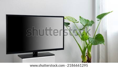 Widescreen LCD TV set on stand in white room with green plants