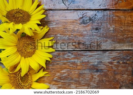 Greeting card mockup on wooden background with sunflowers. Empty envelope and place for text. Greeting card. Yellow flowers on wooden background
