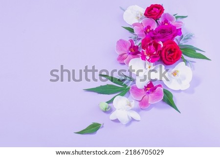pattern of summer flowers on color paper background