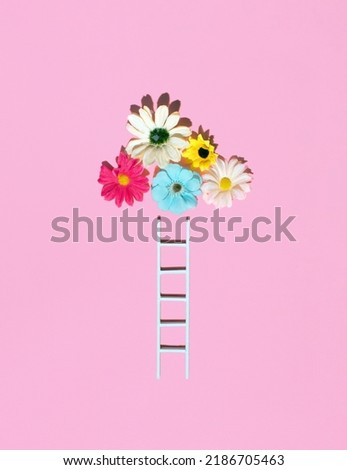 Floral arrangement, cloud shape and mini ladders, creative layout on pastel pink background. 