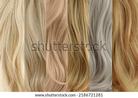 Six samples of strands of blonde hair in different shades. Hair coloring. Hair dye.