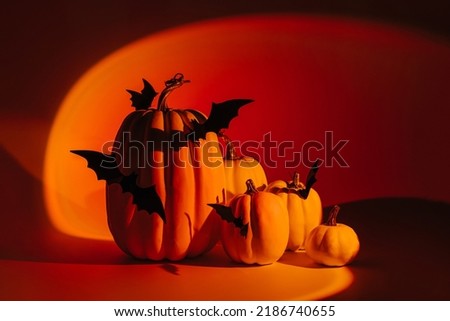 Halloween pumpkins and bats on neon gradient background. Happy Halloween decorations