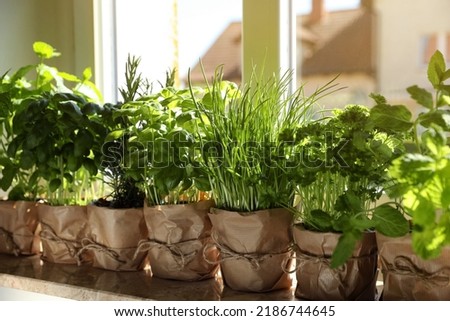 Different aromatic potted herbs on windowsill indoors Royalty-Free Stock Photo #2186744645