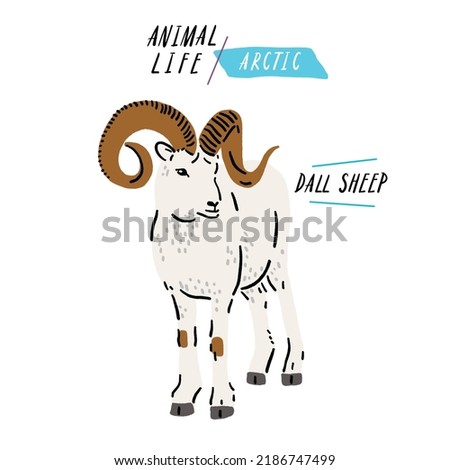 Dall sheep Animal Color Illustration Royalty-Free Stock Photo #2186747499