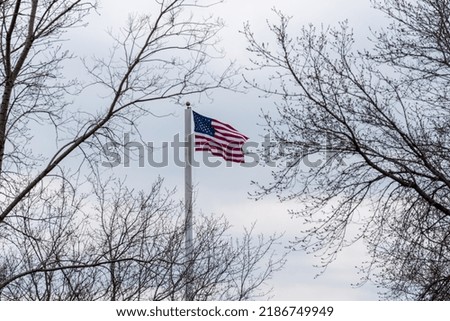 American flag flying through the trees against a cloudy sky