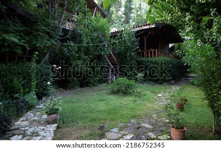 Tree houses in the forest of Olympos