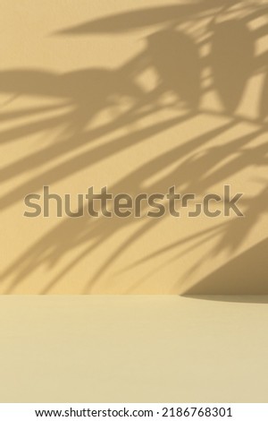 Minimal abstract background for the presentation of a cosmetic product. Premium podium with a shadow of tropical palm leaves on a beige backdrop. Showcase, display case