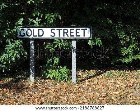 Gold street sign with grass and leaves in foreground and trees in the background.