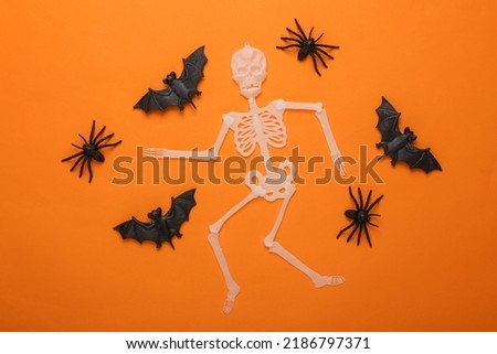 Halloween background. Skeleton with bats and spiders on orange background. Top view