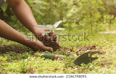 A young man is planting a tree with the light of warmth. Royalty-Free Stock Photo #2186798095