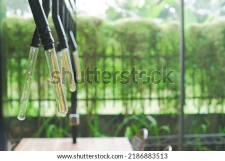 decorative lamps in a garden restaurant as decoration and a source of lighting