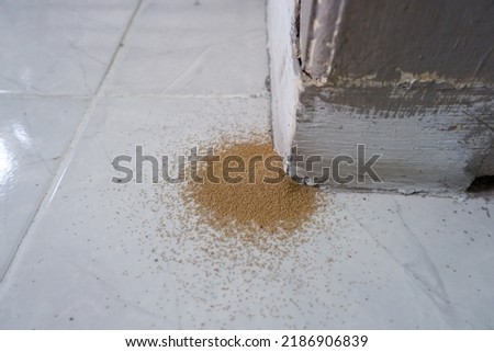 Dry wood is usually called dry wood frass derived from termite droppings, Cryptotermes spp. Royalty-Free Stock Photo #2186906839