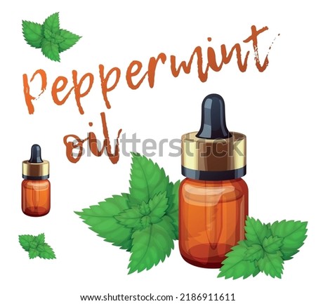 Peppermint oil in a small bottle vector icon isolated on white background, cartoon illustration of essential oil of pepper mint with green leaves, brown glass bottle aromatherapy clip art