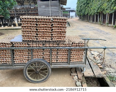 Chicken Egg Trolley, Conventional. Images for Egg Production, Egg market, calendar, brochure designs, conventional farming powerpoint slide content.