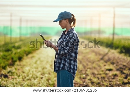 Farmer with tablet checking growth, monitoring farming progress and managing farm export orders on technology. Serious woman, gardener and environmental scientist analyzing greenhouse data on estate Royalty-Free Stock Photo #2186931235