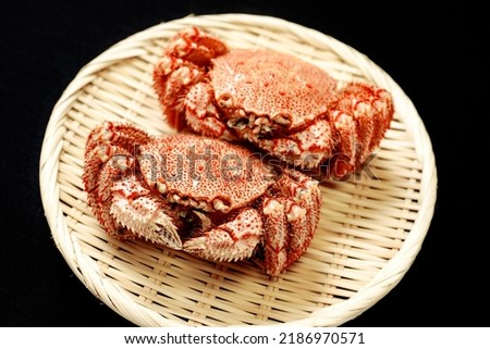 Horsehair crab. Sweet and delicious crab.