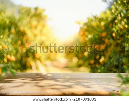 Empty wood table with free space over orange trees, orange field background. For product display montage	 Royalty-Free Stock Photo #2187091031