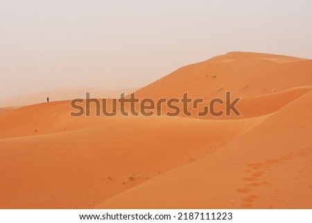 Fantastic dune landscape of the Erg Chebbi near Merzouga in the southeast Morocco Royalty-Free Stock Photo #2187111223