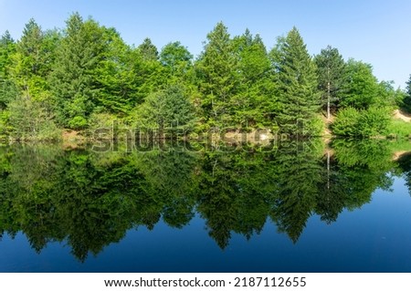 Beautiful reflection of the trees in the lake 