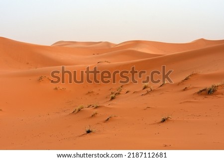Fantastic dune landscape of the Erg Chebbi near merzouga in the southeast of Morocco Royalty-Free Stock Photo #2187112681