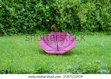 a magenta umbrella on green grass