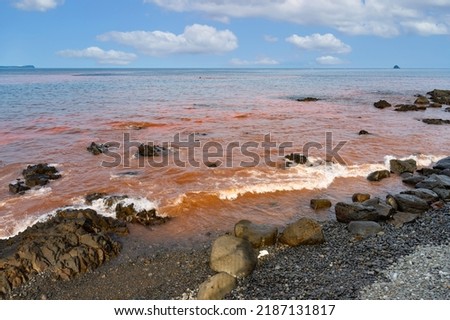 Red tide on the coast of Ito City, Shizuoka Prefecture Royalty-Free Stock Photo #2187131817