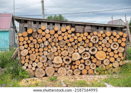 beautiful woodpile of logs and firewood for the stove and heating in the winter in village