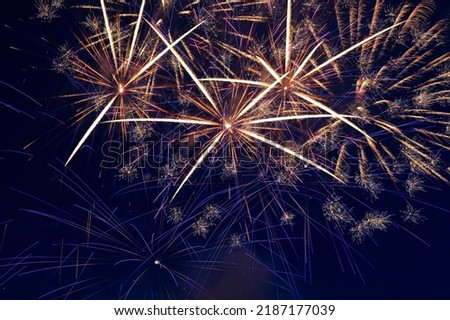 Colorful fireworks in the night sky. Festive pyrotechnics. Background image.